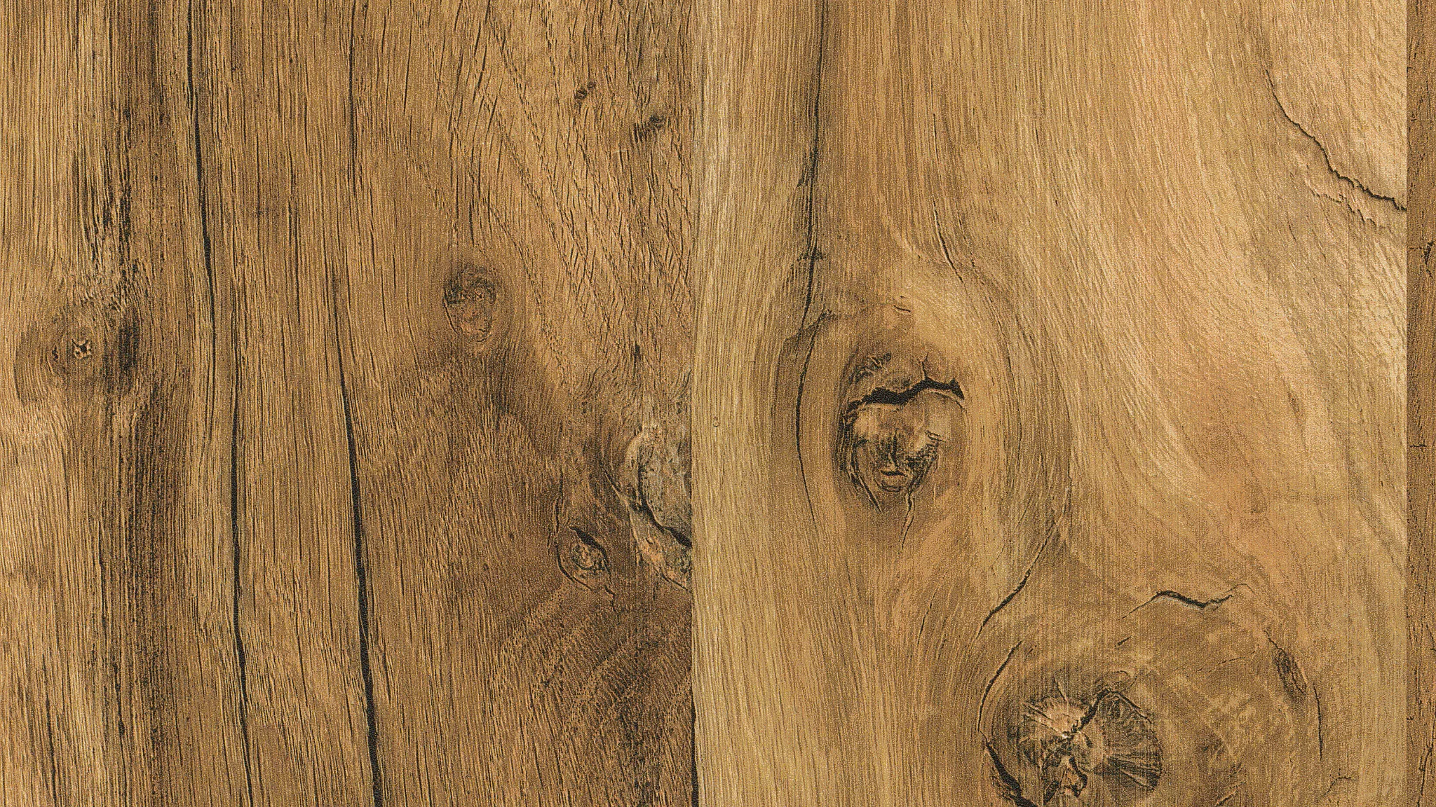 Дуб Галифакс