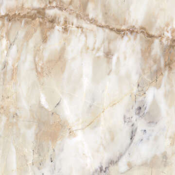 Бречча Вивальдо